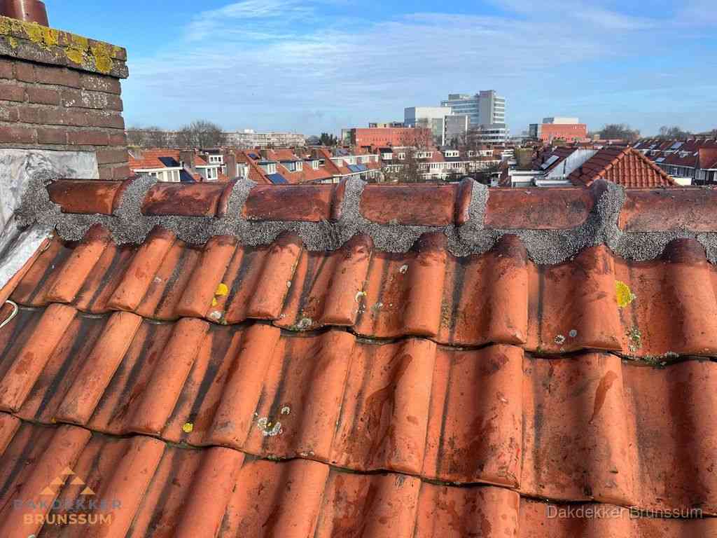 Nieuw bitumen plat dak met uitzicht over woonwijk in Brunssum