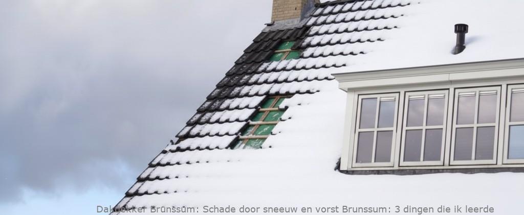 Schade Door Sneeuw En Vorst Brunssum